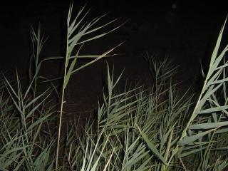 IOS_2003_087