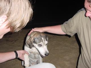 IOS_2003_109