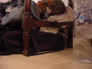 IOS_2003_135
