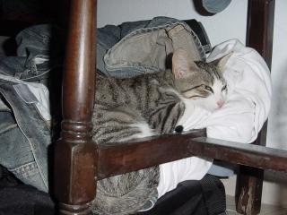 IOS_2003_136
