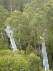 Great Ocean RD - Otway Fly Tree Top Walk