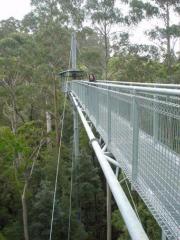 Great Ocean RD - Otway Fly Tree Top Walk