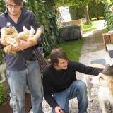 party_animals