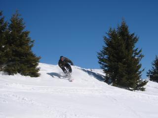 natz mrz 2004 0031