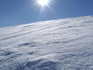 schee der schnee