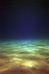 gree_004