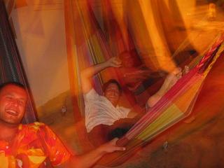 harmony cafe hammocks