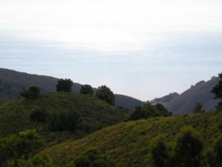 P1010015