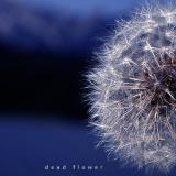 deadflower