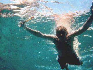 dive1