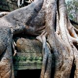 angkor6