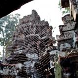 web
