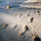 footsteps