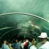 Sydney Aquarium
