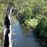 Royal National Park