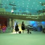 Dubai Shopping-Mall-Skiing