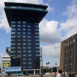 Golden Tulip