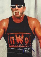 Ohr Hogan