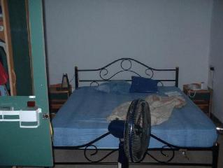 Picture 052