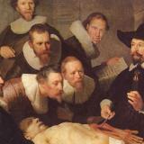 anatomy-ongl