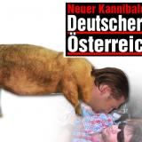 bildzeitung_29