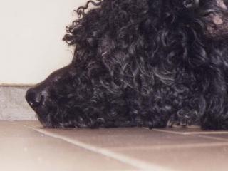 fdfdfdfdfdf