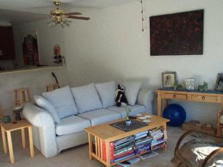 lvroom1