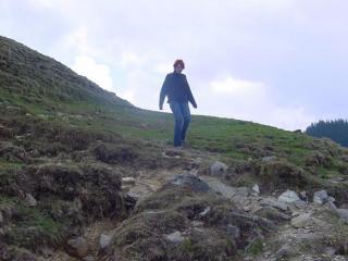 hoerndl (11)