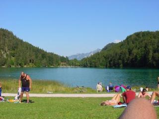 alatsee